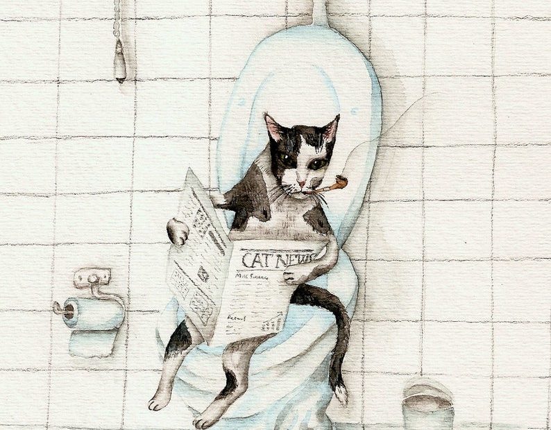 Сантехническая Сага